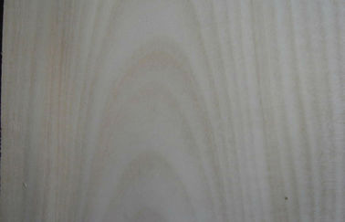 Płyta licowa z białego brzozy brzozowej wstępnie obrobiona grubością 0.5mm