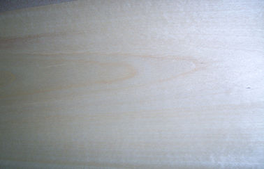 Płyta licowa z białego brzozy brzozowej wstępnie obrobiona grubością 0.5mm