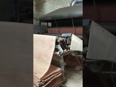 Arkusz forniru skrawanego Natural Wood PLB