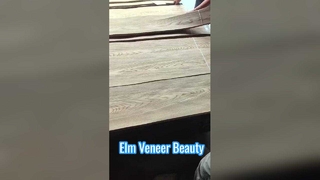 Fornir cięty Elm Crown