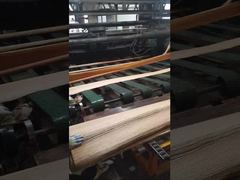 Fornir z czerwonego dębu