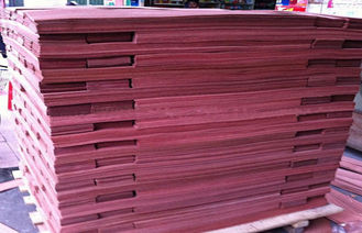 Płyta podłogowa z drewna okleinowanego w kolorze czerwonym Sapele For Furniture