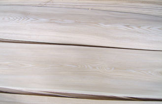 Naturalna Rosja Biały Fornir z drewna jesionowego Sklejka Koronka do mebli