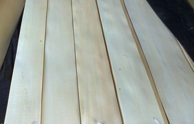 Fornir okleinowy z drewna brzoza o średnicy 0,45 mm z nierównym drewnem
