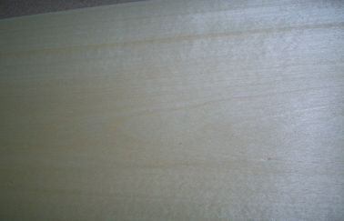 0,5 mm Korony cięcia białego brzozy Veneer Z Jasnożółtym Ziarno