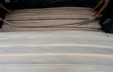 Wewnętrzne cienkie płyty fornirowane na drewno do szaf, taśmy z brzozy brzoza
