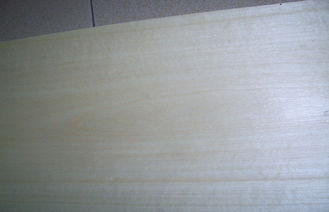 0.5mm Grubość Fornir płasko skrawany, naturalny biały brzoza Fornir Do mebli
