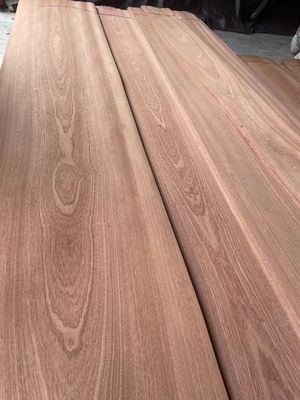 Plasterkowana naturalna korona/płasko cięta fornir Sapelli na sklejkę