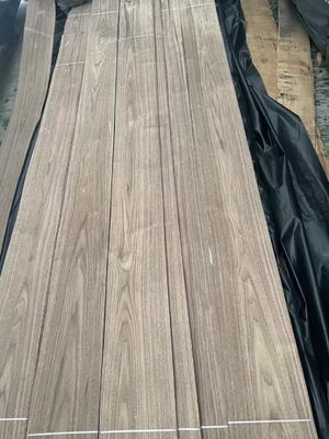 Naturalnie pocięte American Black Walnut Plain Cut Veneer Sheet dla sklejki