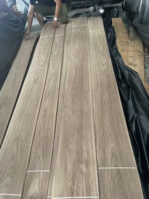 Naturalnie pocięte American Black Walnut Plain Cut Veneer Sheet dla sklejki