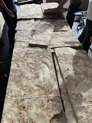 Wysokiej jakości arkusze z folią mappa burl do dekoracji mebli
