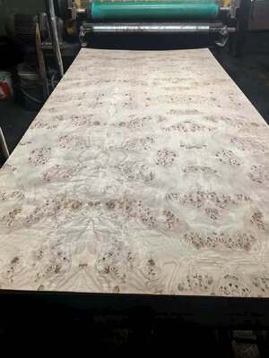 Natural Wood Mappa Burl Veneer Sheet with Sliced Cut and 12-15% Moisture for Furniture Decoration