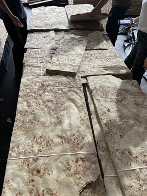 Arkusz forniru z drewna klonowego Mappa o grubości 0,5 mm do dekoracji hotelu